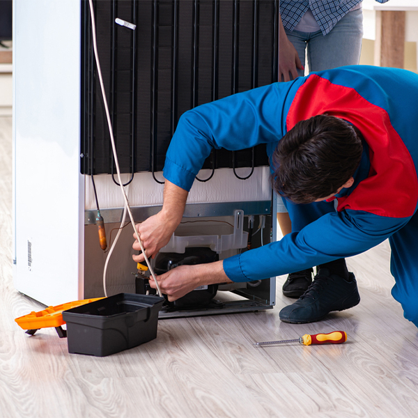 what are the common refrigerator repair services in Ravenna MI